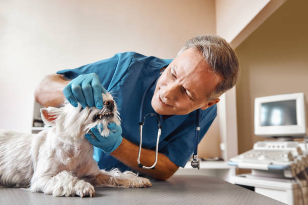 Best Emergency Dental Care for Trauma or Injury in Lake Helen, FL